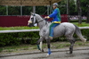 Immagine <b>REG_9151</b>